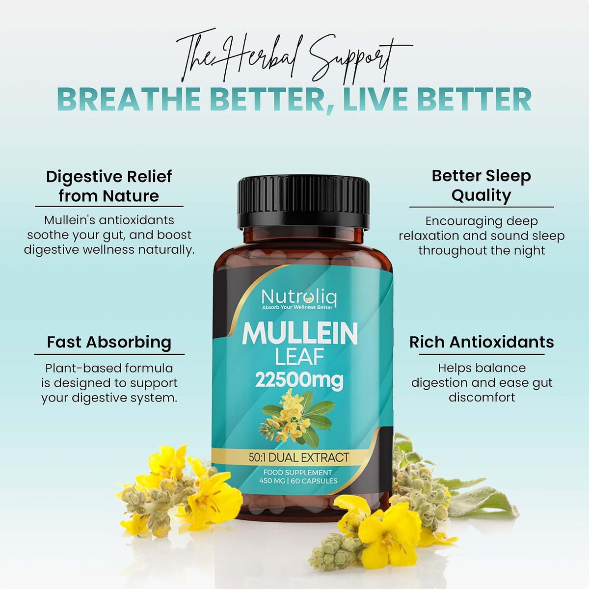 Nutroliq Mullein Leaf 50:1 Extract Capsules – product image 4