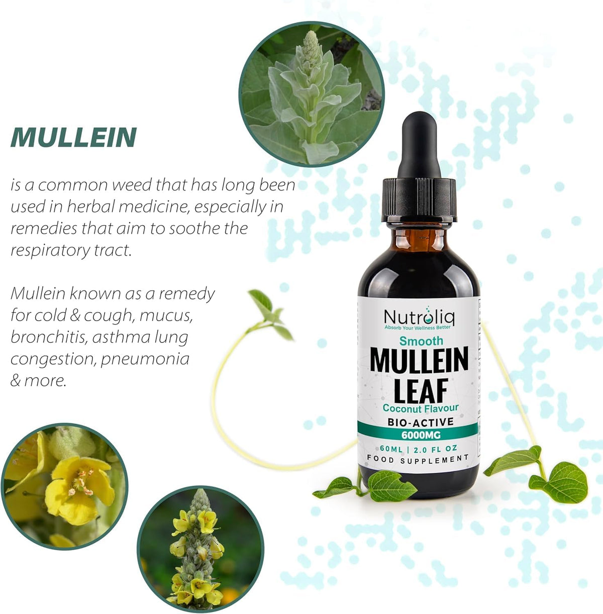 Nutroliq Mullein Leaf 50:1 Extract Drops - 60ml – product image 6