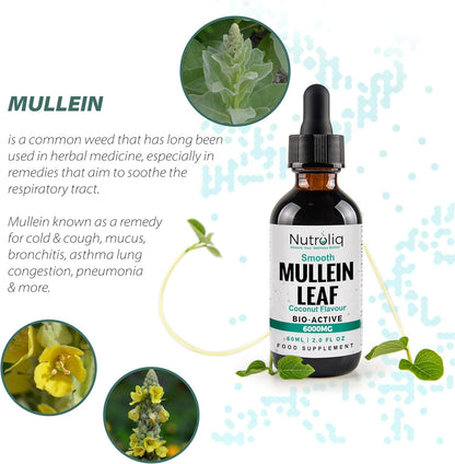 Nutroliq Mullein Leaf 50:1 Extract Drops - 60ml – product image 6