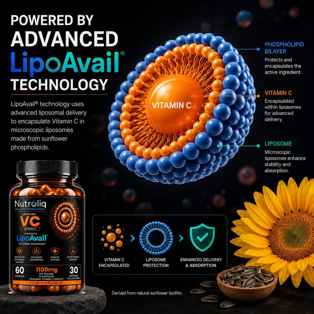 Nutroliq Liposomal Vitamin C Capsules – 60 Capsules – product image 5