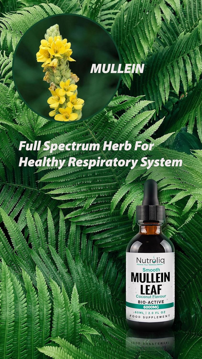 Nutroliq Mullein Leaf 50:1 Extract Drops - 60ml – product image 8
