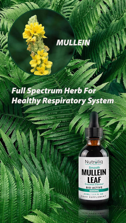 Nutroliq Mullein Leaf 50:1 Extract Drops - 60ml – product image 8